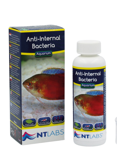 NTLabs Anti Internal Bacteria