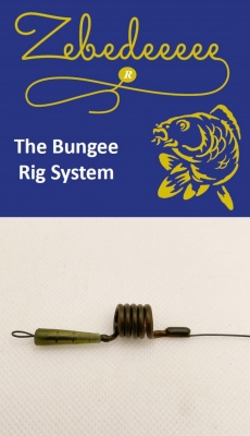 Zebedee Carp Fishing rig